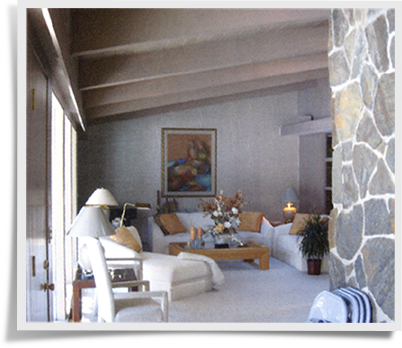Interior Perfection California Contemporary Living Room Before